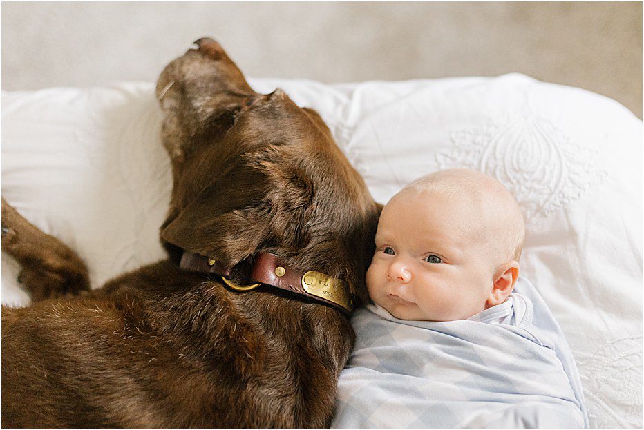 How to take your own newborn photos at home